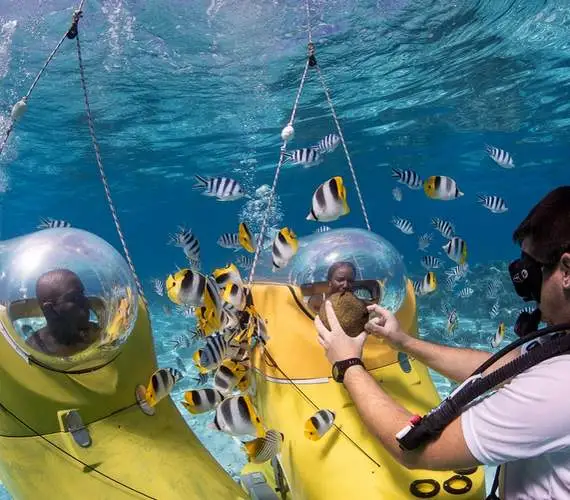 Explore Bora Bora’s Marine Life with an Underwater Scooter Adventure