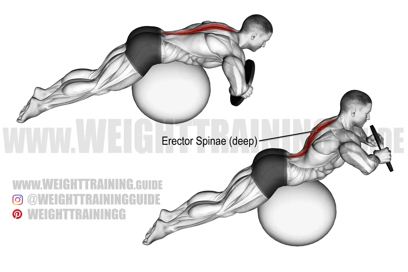 Stability Ball Hyperextension: How to Safely Strengthen Your Lower Back